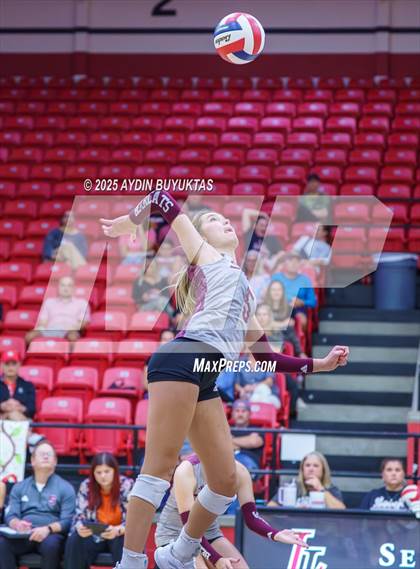Thumbnail 2 in Sherman @ Lovejoy photogallery.