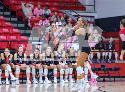 Thumbnail 2 in Sherman @ Lovejoy photogallery.
