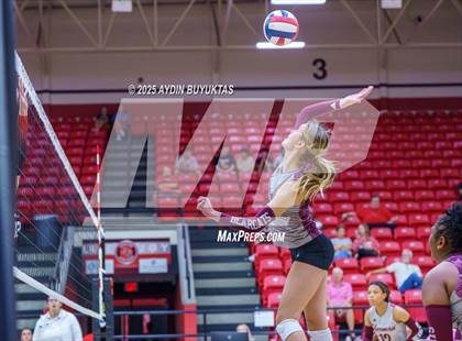 Thumbnail 3 in Sherman @ Lovejoy photogallery.