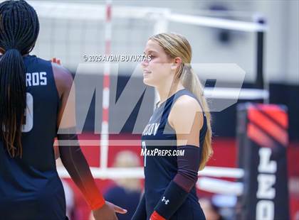 Thumbnail 1 in Sherman @ Lovejoy photogallery.