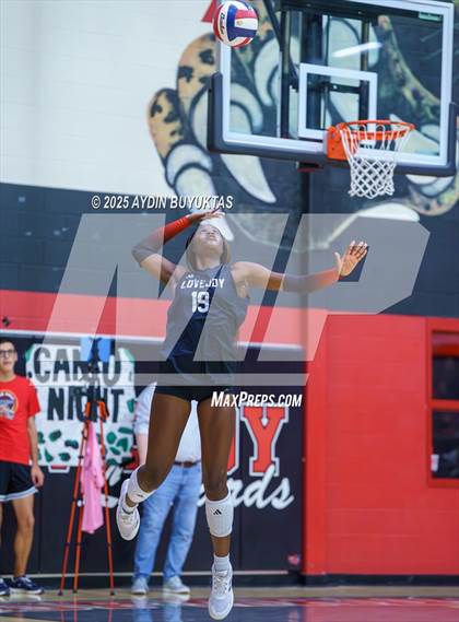 Thumbnail 1 in Sherman @ Lovejoy photogallery.