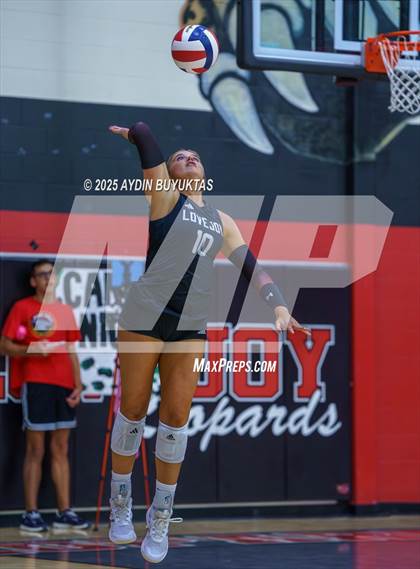 Thumbnail 1 in Sherman @ Lovejoy photogallery.