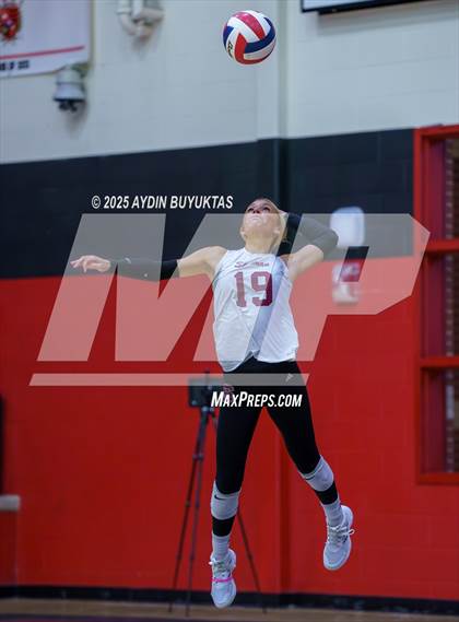 Thumbnail 1 in Sherman @ Lovejoy photogallery.