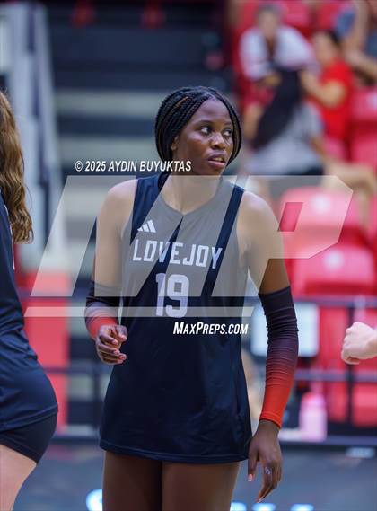 Thumbnail 3 in Sherman @ Lovejoy photogallery.