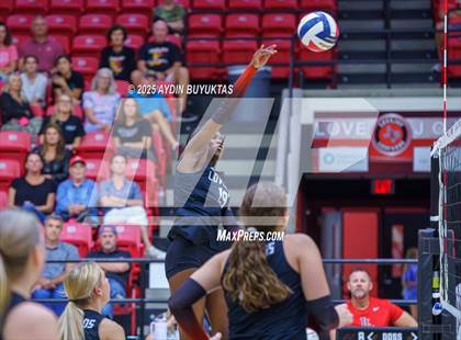 Thumbnail 2 in Sherman @ Lovejoy photogallery.