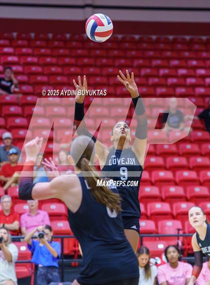 Thumbnail 1 in Sherman @ Lovejoy photogallery.