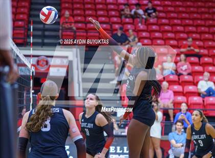 Thumbnail 2 in Sherman @ Lovejoy photogallery.
