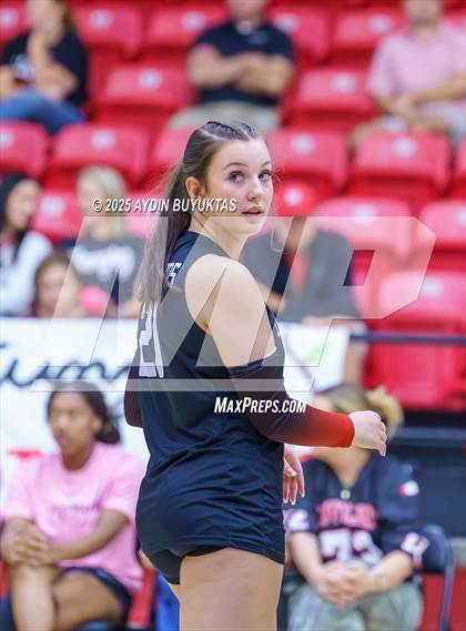 Thumbnail 1 in Sherman @ Lovejoy photogallery.