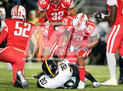Thumbnail 2 in Crandall @ Terrell photogallery.