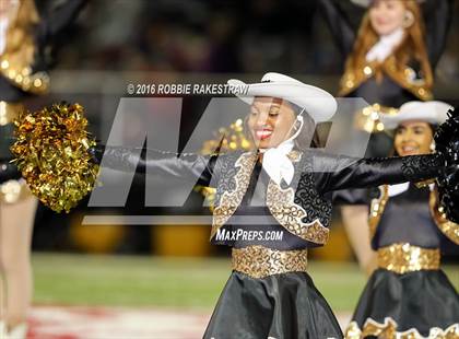 Thumbnail 1 in Crandall @ Terrell photogallery.
