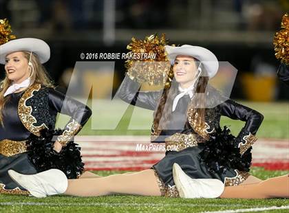 Thumbnail 2 in Crandall @ Terrell photogallery.