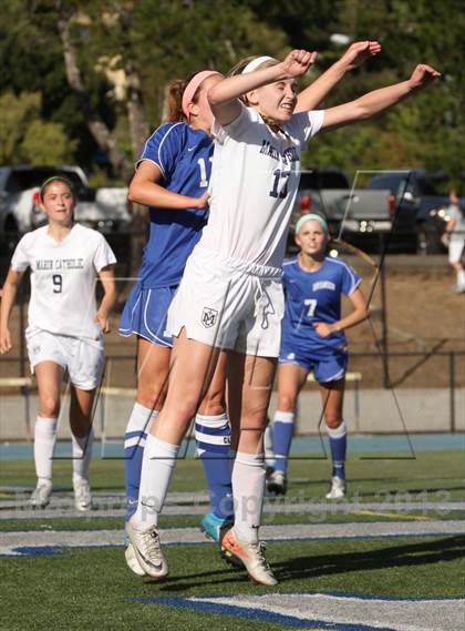 Thumbnail 3 in Branson @ Marin Catholic photogallery.