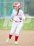 Photo from the gallery "Novato @ Redwood"