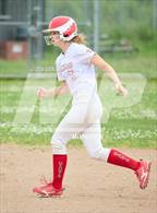 Photo from the gallery "Novato @ Redwood"