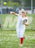Photo from the gallery "Novato @ Redwood"