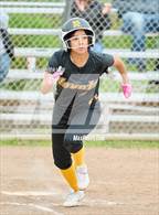 Photo from the gallery "Novato @ Redwood"