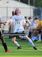 Photo from the gallery "White Oak @ Havelock"