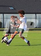 Photo from the gallery "White Oak @ Havelock"