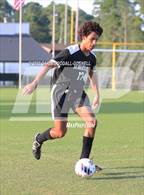 Photo from the gallery "White Oak @ Havelock"