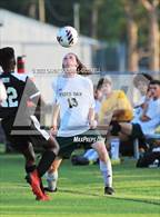 Photo from the gallery "White Oak @ Havelock"