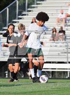 Photo from the gallery "White Oak @ Havelock"