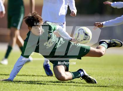 Thumbnail 3 in Leon @ Fleming photogallery.