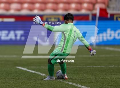 Thumbnail 1 in Morgan vs. Juan Diego Catholic (UHSAA 3A Final) photogallery.