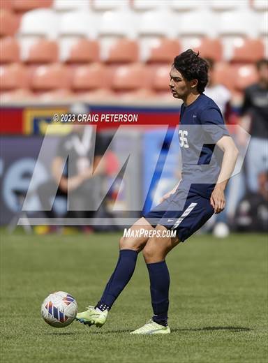 null - Photo 01