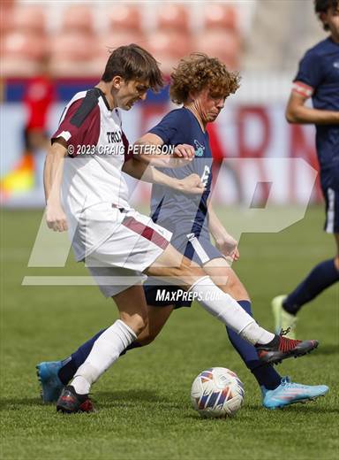 null - Photo 11