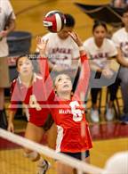 Photo from the gallery "American @ James Logan"