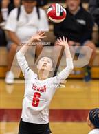 Photo from the gallery "American @ James Logan"