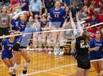 Photo from the gallery "St. Teresa's Academy @ Bishop Miege"