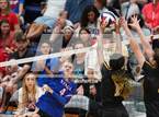 Photo from the gallery "St. Teresa's Academy @ Bishop Miege"