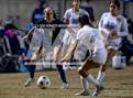 Photo from the gallery "Monache @ Redwood  "