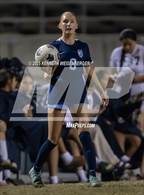 Photo from the gallery "Monache @ Redwood  "