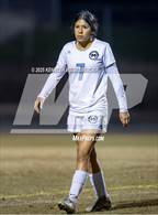 Photo from the gallery "Monache @ Redwood  "