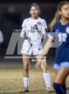 Photo from the gallery "Monache @ Redwood  "