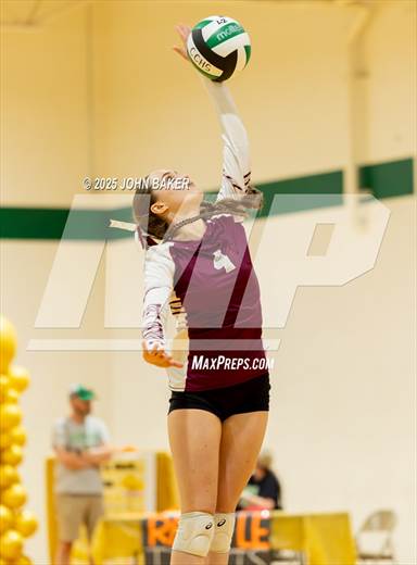 null - Photo 01