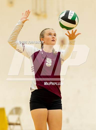null - Photo 01