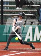 Photo from the gallery "Mountainside @ Jesuit"