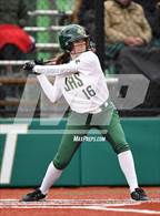 Photo from the gallery "Mountainside @ Jesuit"