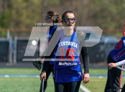 Thumbnail 3 in Vestavia Hills @ South Forsyth photogallery.