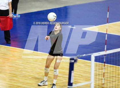 Thumbnail 3 in Holy Family vs Lewis-Palmer (CHSAA 4A Final) photogallery.