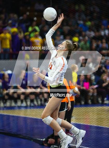 Thumbnail 1 in Holy Family vs Lewis-Palmer (CHSAA 4A Final) photogallery.