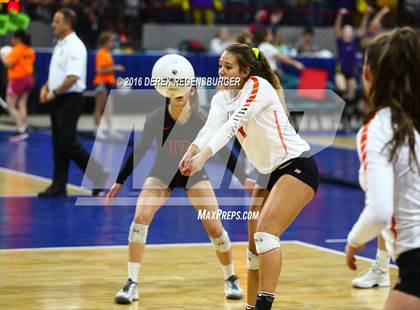 Thumbnail 2 in Holy Family vs Lewis-Palmer (CHSAA 4A Final) photogallery.