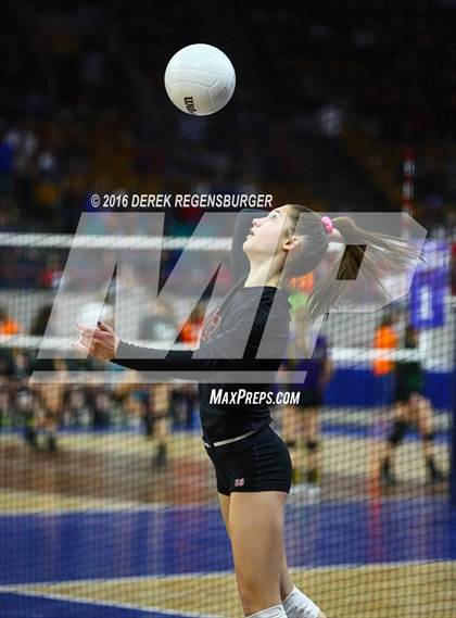 Thumbnail 3 in Holy Family vs Lewis-Palmer (CHSAA 4A Final) photogallery.