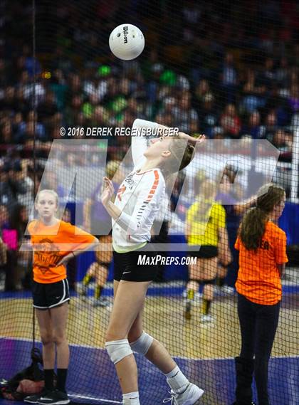 Thumbnail 2 in Holy Family vs Lewis-Palmer (CHSAA 4A Final) photogallery.
