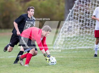 Thumbnail 2 in Newmarket @ Pittsfield photogallery.