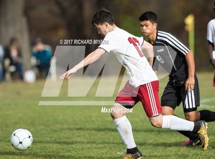 Thumbnail 3 in Newmarket @ Pittsfield photogallery.