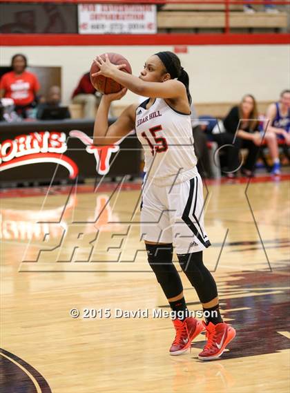 Thumbnail 1 in Midlothian @ Cedar Hill photogallery.